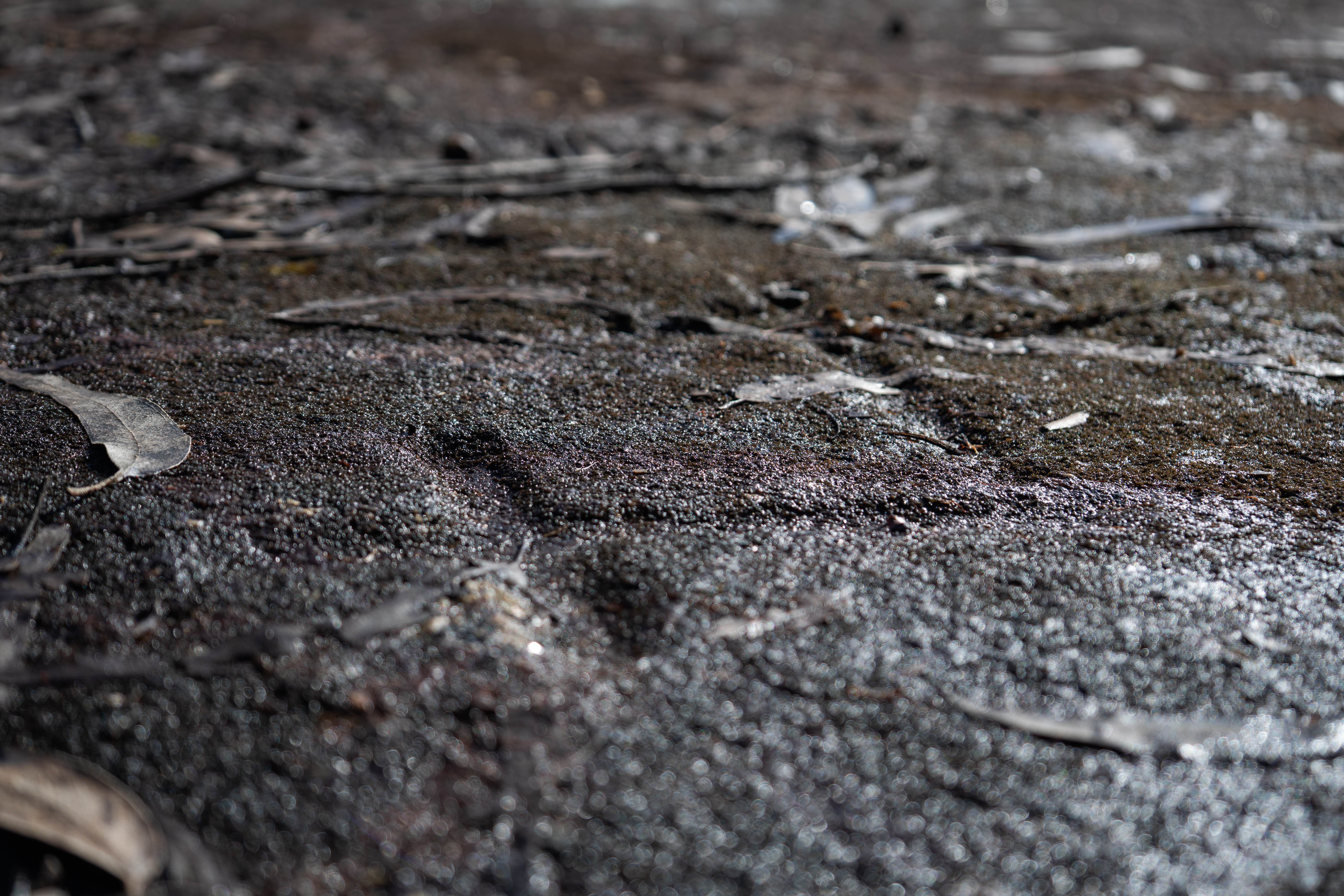 Petróglifos A Foxa Vella