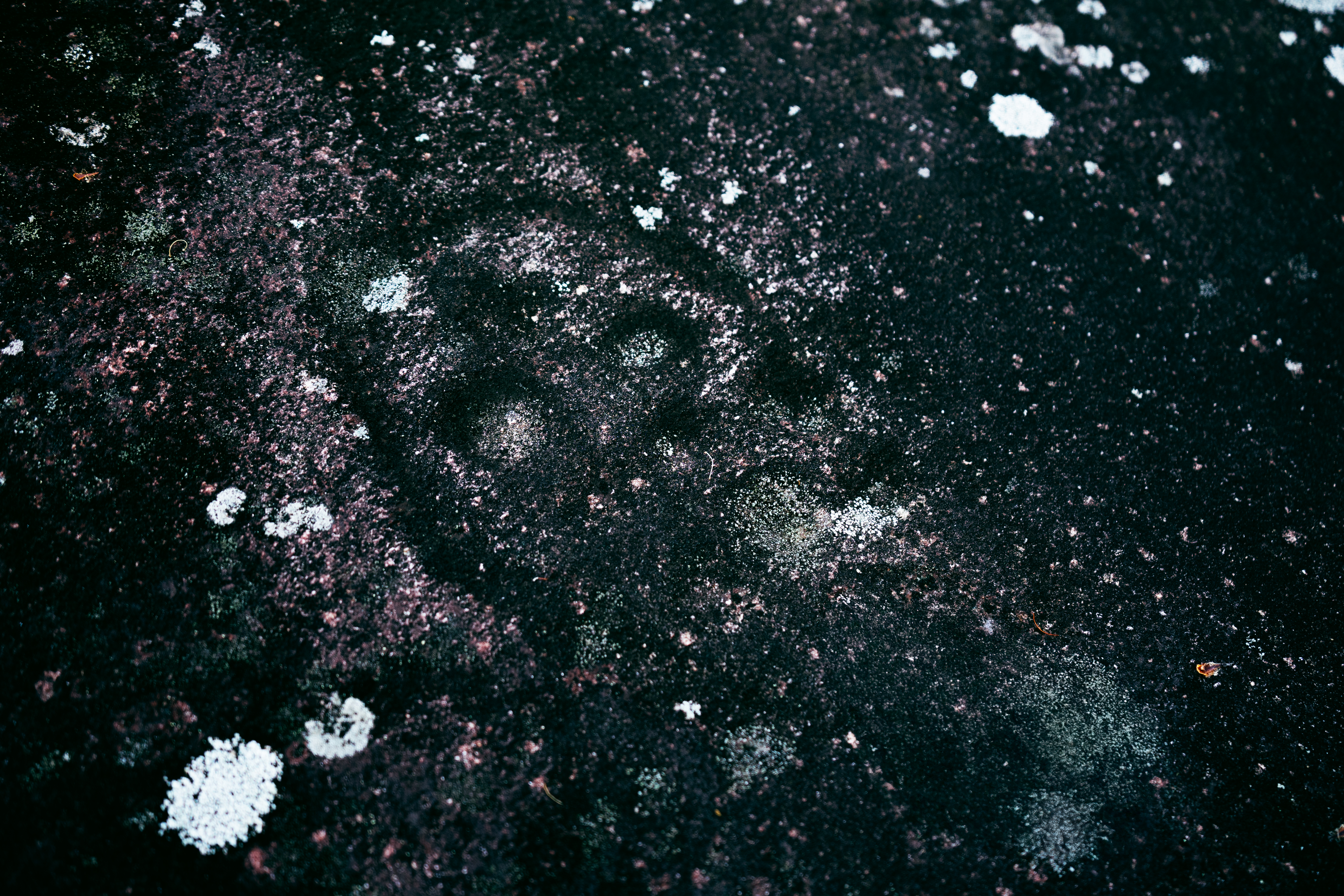 Petróglifos Os Mouchos