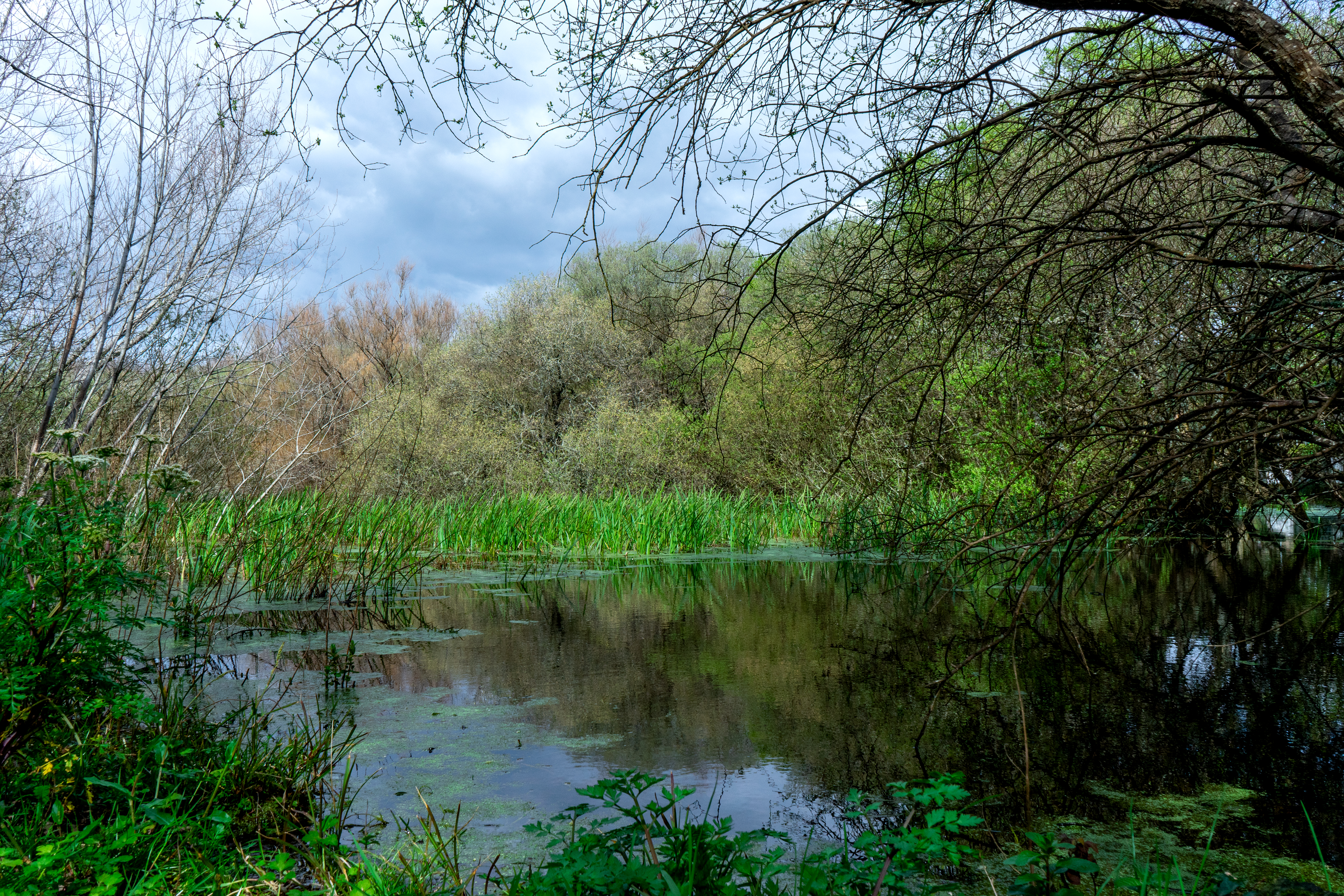 Sistema dunar de Carragueiros