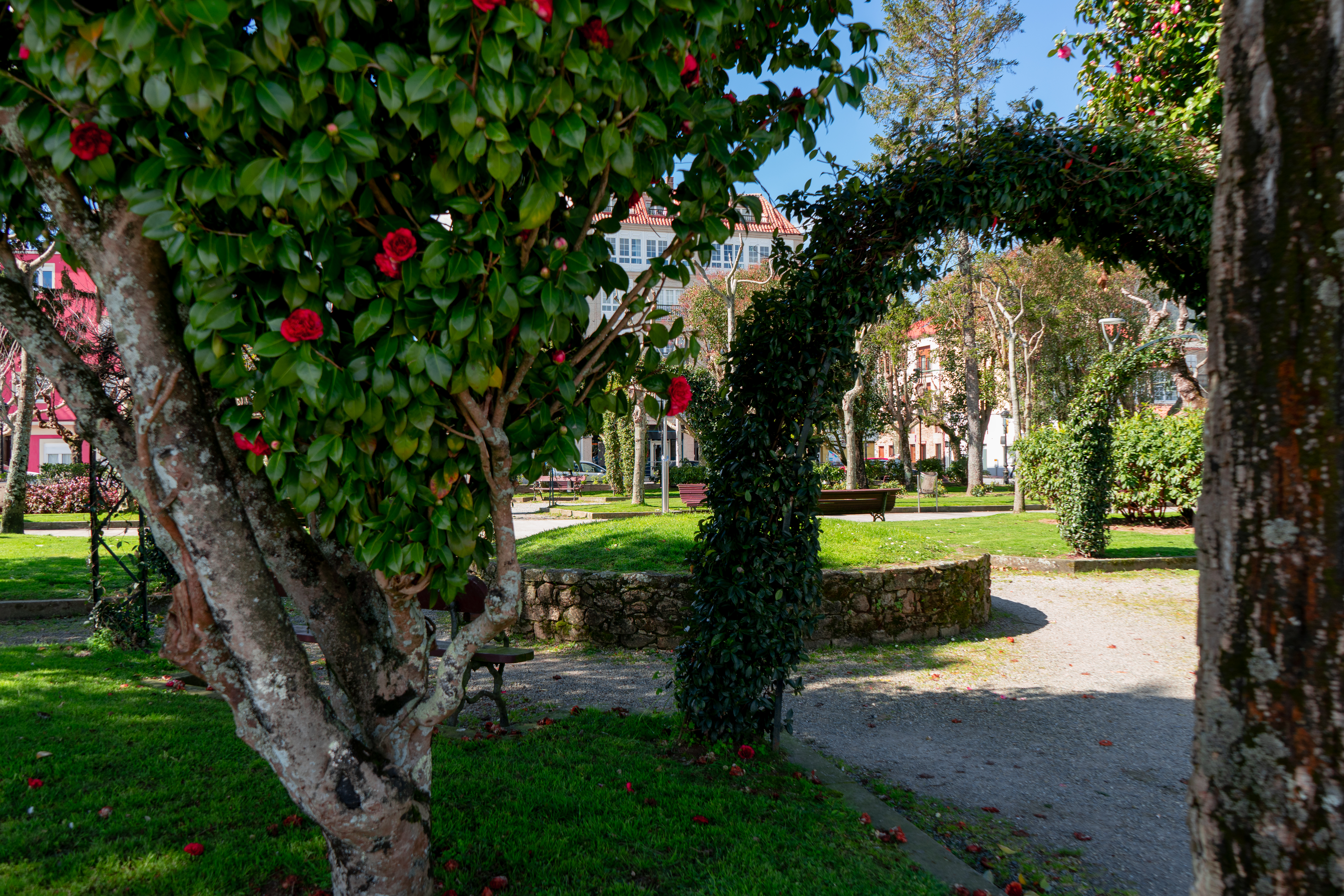 Xardíns Valle-Inclán