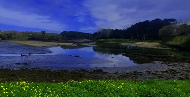 Esteiro do río Coroño
