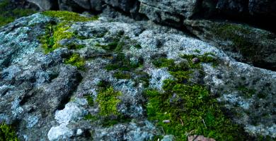 Petróglifo en Rianxiño