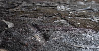 Petróglifos A Foxa Vella