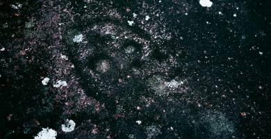 Petróglifos Os Mouchos