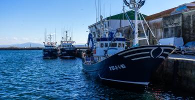 Porto pesqueiro de Ribeira