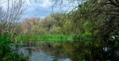 Sistema dunar de Carragueiros